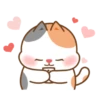 Cute cat and dog 15