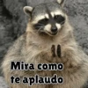 Animales Divertidos🐒🐤🦁 Mov🐽 7