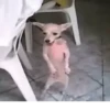 Memes random 8 9
