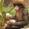 Funny Animals 10