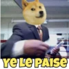 Dogesh 12