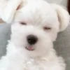 REAÇÕES PRA SEMANA 10