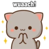 Hari hari Peach Cat 13