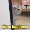 Atualiza aí 7