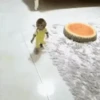 Monos lindos 7