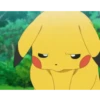 Pikachuuu >\\\< 13