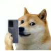 Memes 15