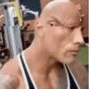 Meme gif 12
