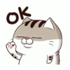 All cat for u 13