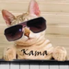 Kokoritos💖🐈 13