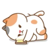 Cute cat and dog 19