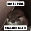 Random gif part 13