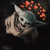 Grogu 8