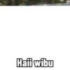 Random gif v2 8