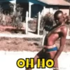 Funny gifs 5