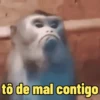 Atualiza aí 13