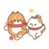 Cute cat and dog 29