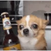 Memesitos animados para ti 15