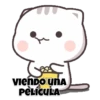 Gatitos 6