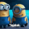 Random gif v2 10