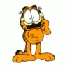 Funny_Gif 10