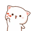 Hari hari Peach Cat 18