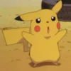 🎒💛Pikachu💛🎒 14