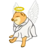 ZYRHA's Cheems 14