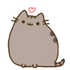 Pusshen cat 6