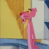 Pantera Rosa 15