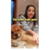 Scobar 2.0 6