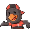 FLAMENGO TETRA 🔴⚫️ 13