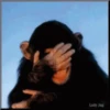 Animales Divertidos🐒🐤🦁 Mov🐽 9
