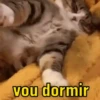Memes pra mandar pros amigos 6