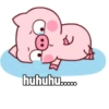 Babi gemoyyy dek 🐷 14