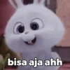 Blitz 5
