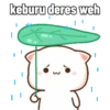 Hari hari Peach Cat 5