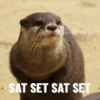 Random gif part 14