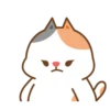 Cute cat and dog 10