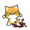 All cat for u 8
