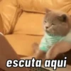 ANIMADAS DO DEBOCHE 6