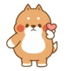 Cute cat and dog 13
