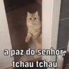 Reações de pets  15