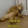 FIGURINHAS EM ALTA ⬆️ 8