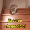 Salva e usa pra reagir 😂 11