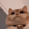 Animados pa enviar 9🤣 5