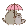 Pusshen cat 14