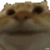 Animados RANDOM 4 20