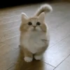 Random gif part 7