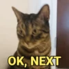 Memes pets 🥰 14
